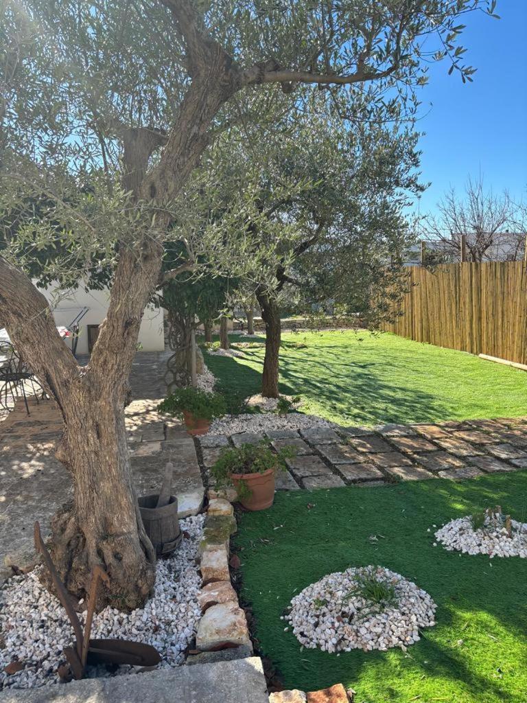 Trullo Vacanza 알베르벨로 외부 사진