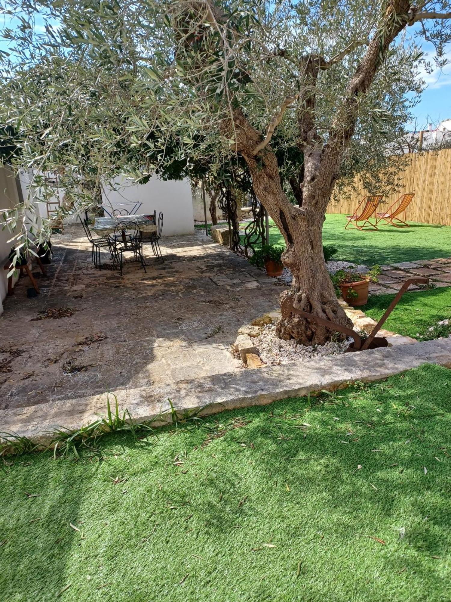 Trullo Vacanza 알베르벨로 외부 사진