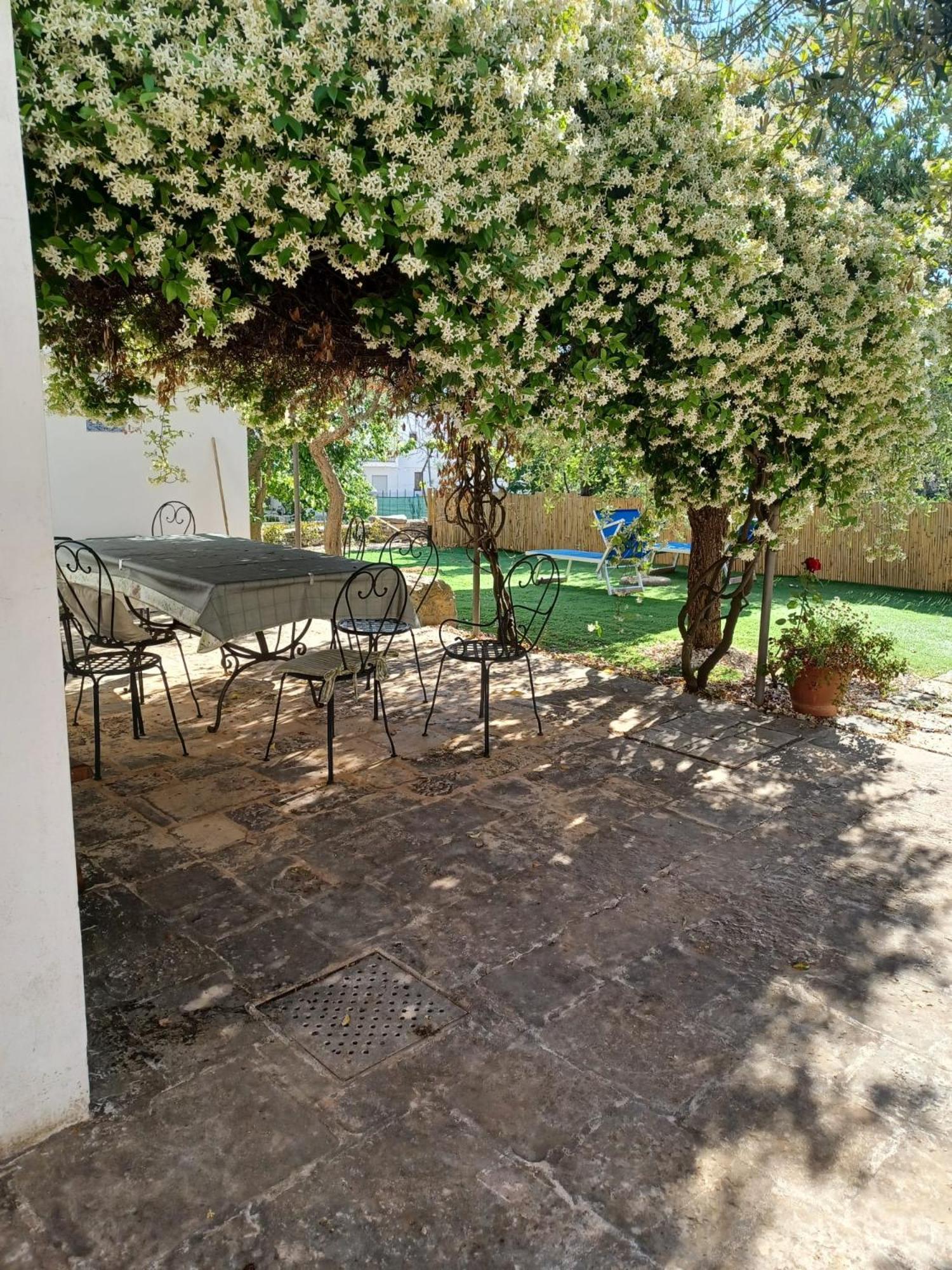 Trullo Vacanza 알베르벨로 외부 사진