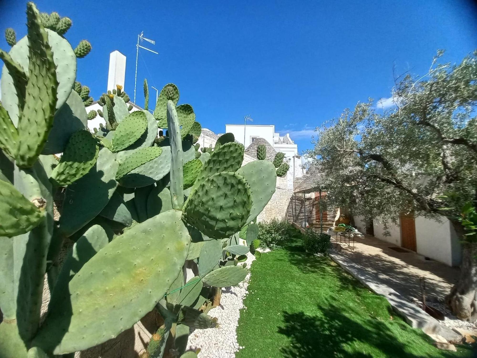 Trullo Vacanza 알베르벨로 객실 사진